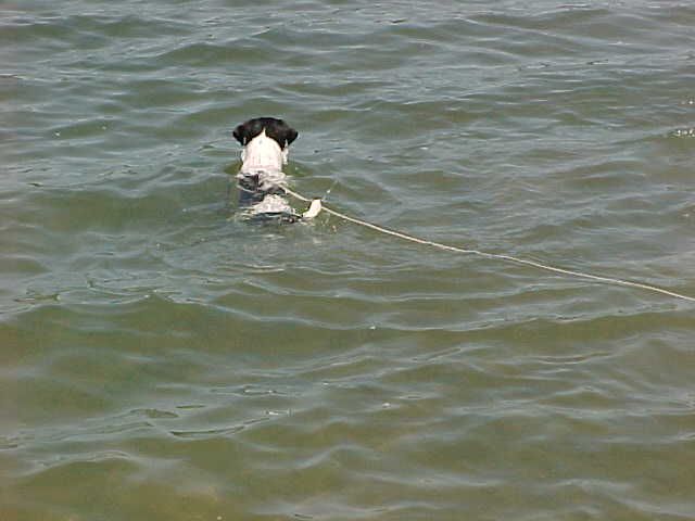 Maddy in lake