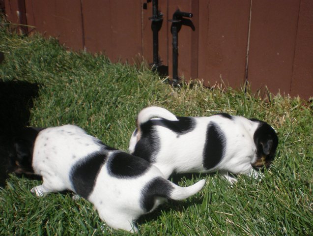 The girls outside