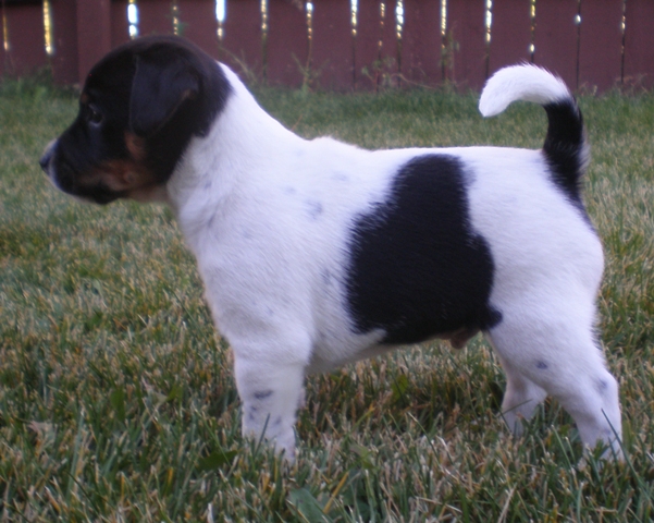 Donald profile