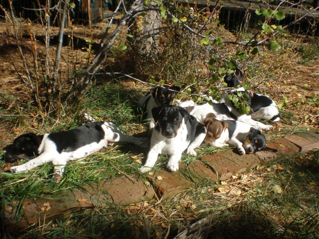 Hanging out in the sun