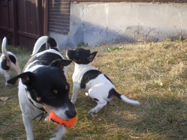 Maddy takes the ball