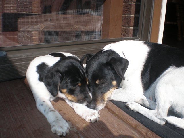 Donald and Maddy snooze