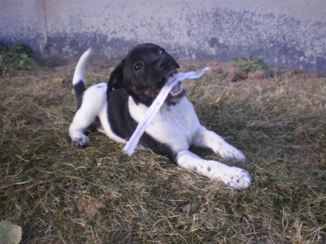 Dudley with his straw