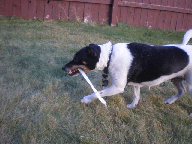 Maddy with straw