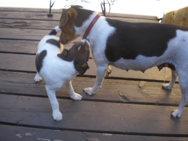 Greta meets Silverheels