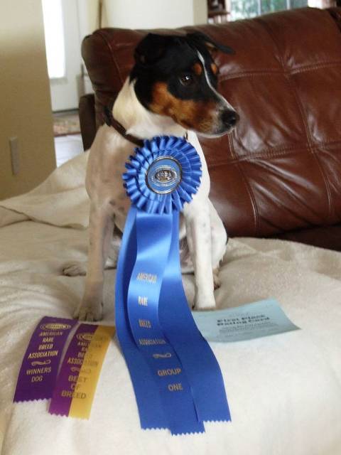 Elwood 17 months w ribbons