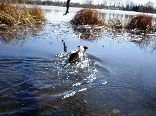 In the lake