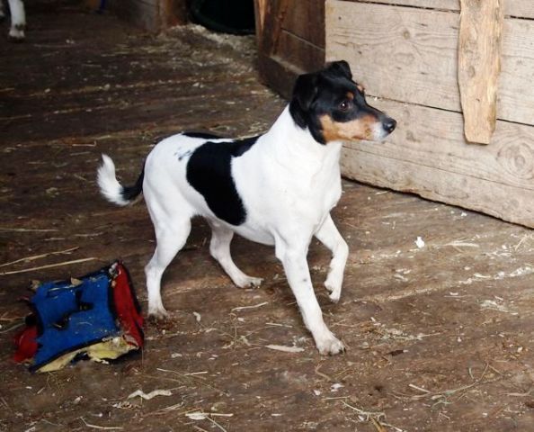 In the barn