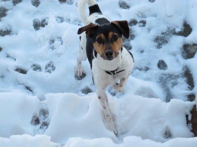 In the snow