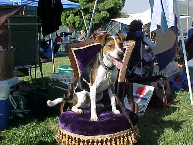 Cooper Throne