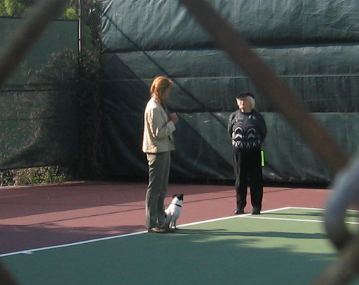 Maddy obedience competition