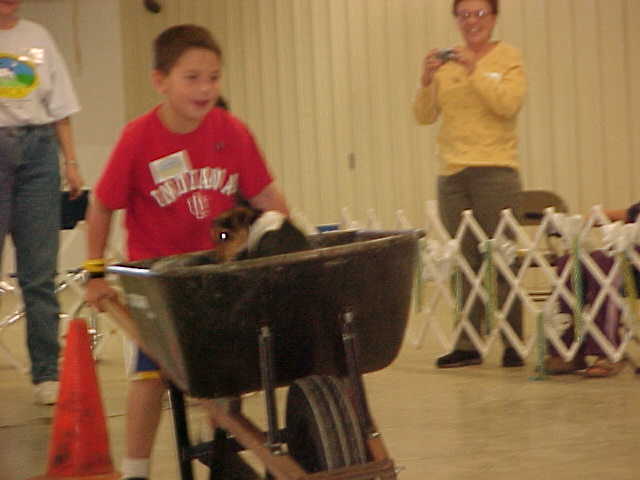 Wheel barrel race