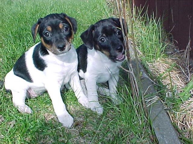 Girls sitting in grass