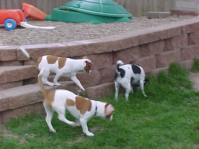 Ranger, Mona and Maddy