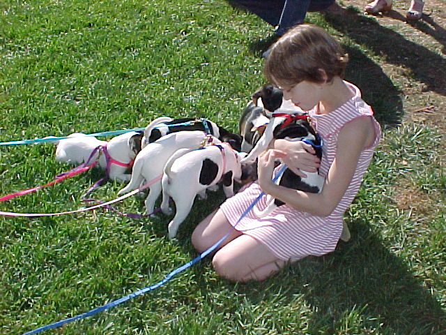 Ashley and pups