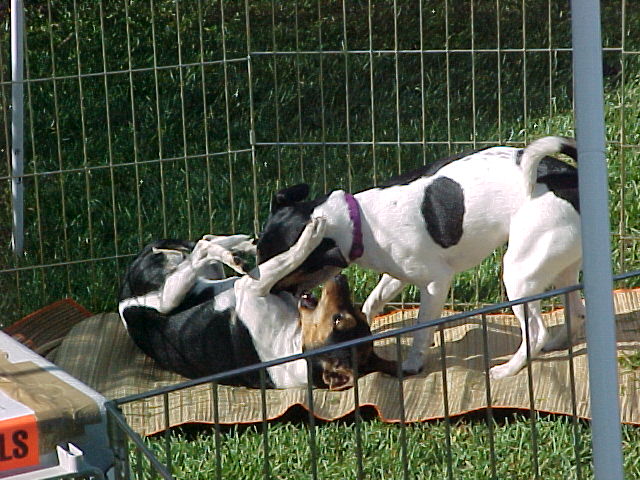 Cheyenne and Birkita play