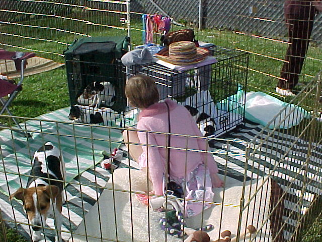 Puppy play pen