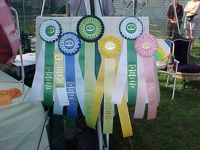 DSFCA ribbons