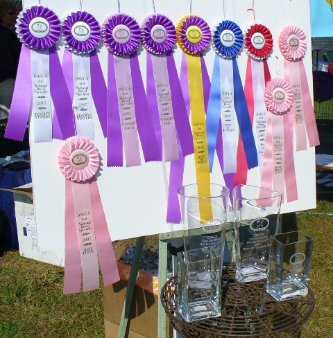 DSFCA Rosettes