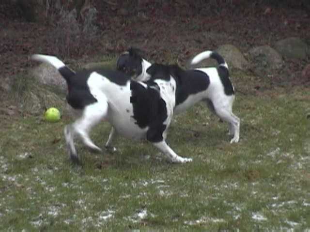 Maddy and Rufus meet