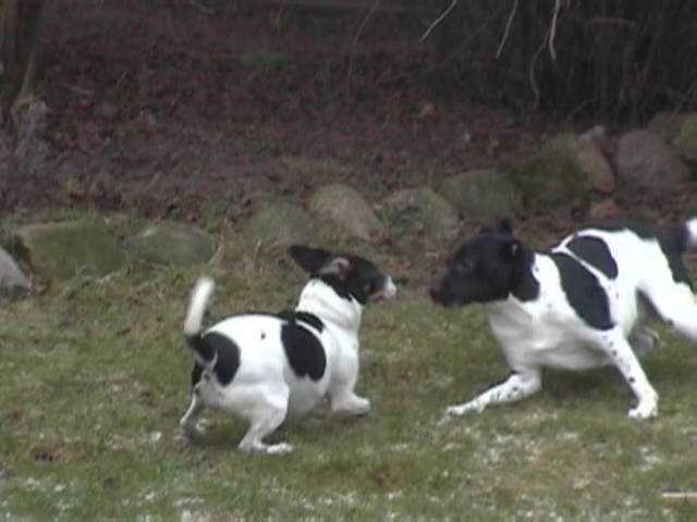 Maddy and Rufus play