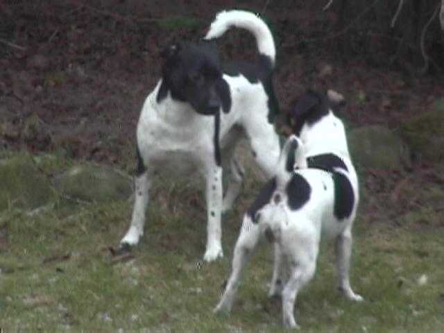 Maddy and Rufus stand-off