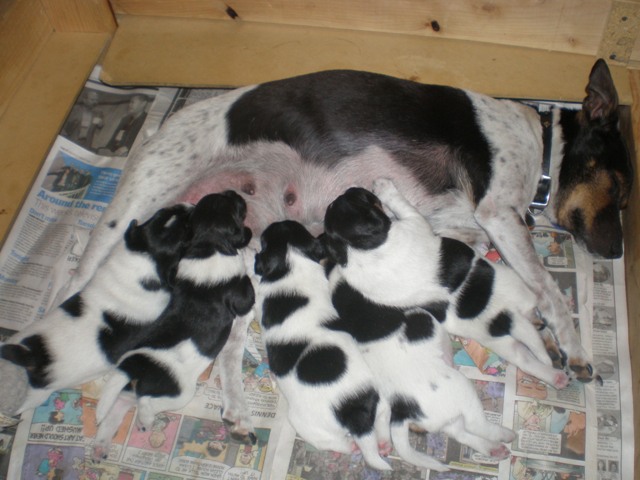 The milk bar at 2 weeks