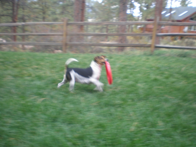 Greta with the large disc