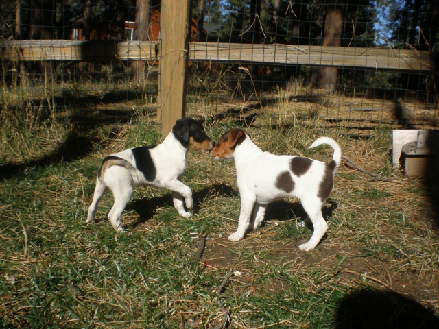 Evans meet Silverheels