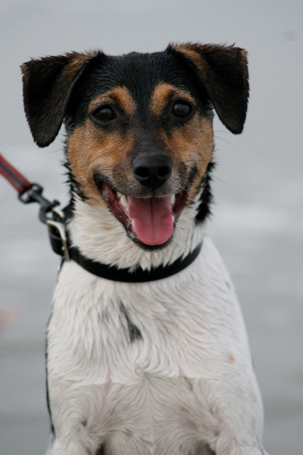 Wet and happy