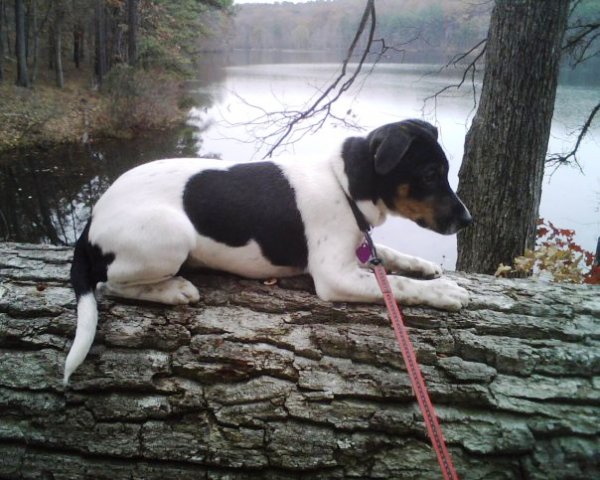 Magnum at the lake