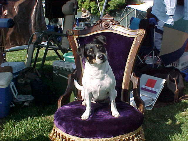 Maddy throne