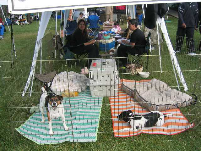 Farmdog Camp