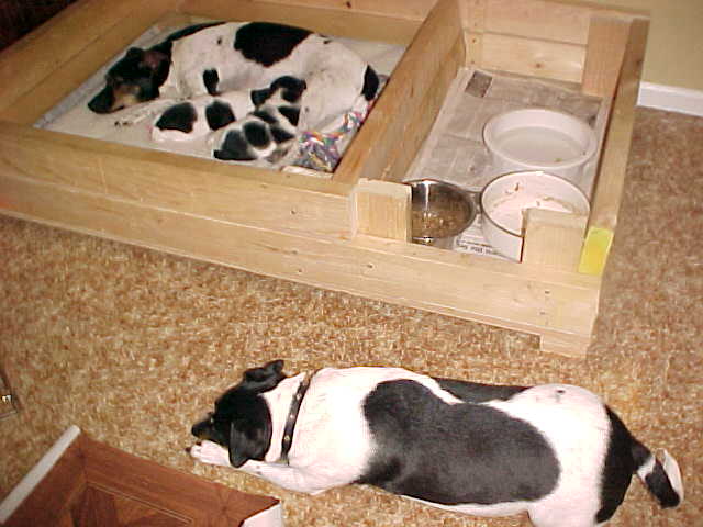 Maddy guarding box