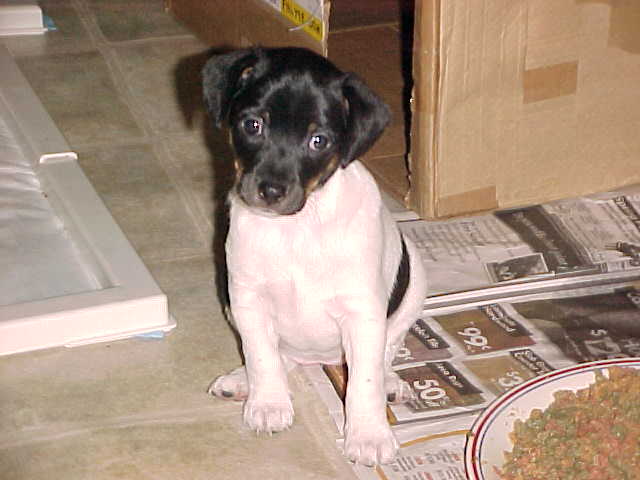 Annie Oakley sitting