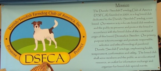 DSFCA Mission Statement