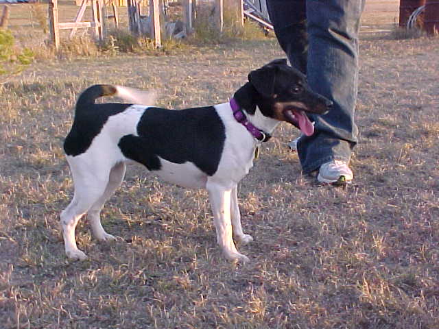 Little Denmark's Annie Oakley