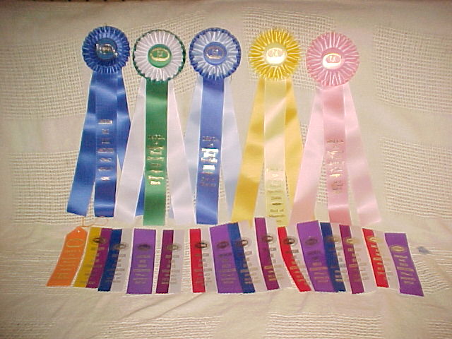 Kennel Little Denmark's ribbons