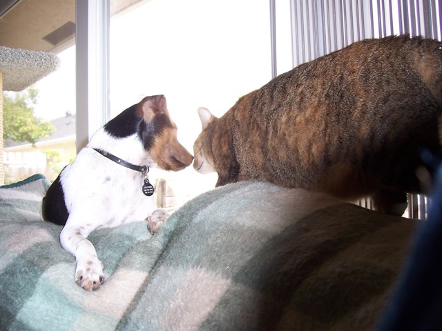 Cheyenne and Kitty