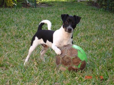 Samson and big ball