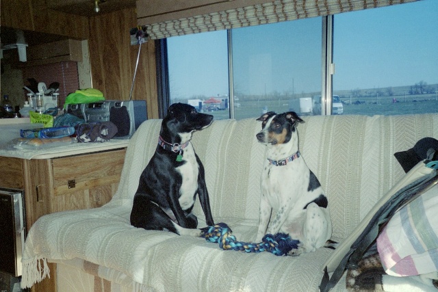 Bailey and Max in motorhome