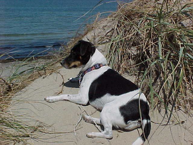 On the beach DK