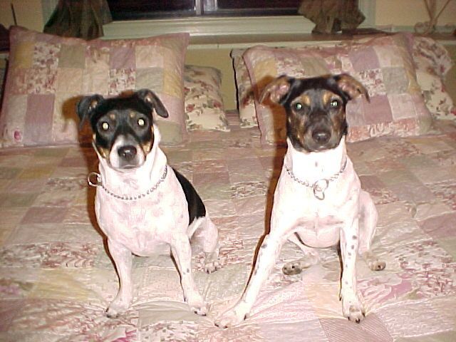 Maddy&Kikka Sit