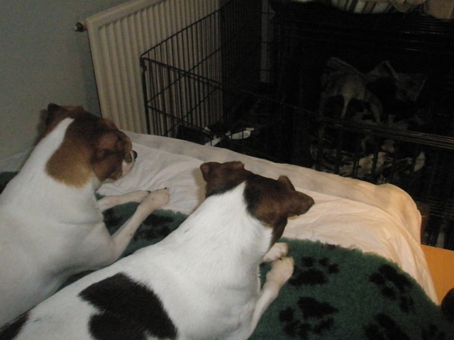 curious girls